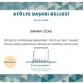 Resmi büyüt: certificate 13