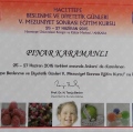 Resmi büyüt: certificate 4