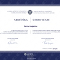 Resmi büyüt: certificate 1
