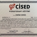 Resmi büyüt: certificate 1