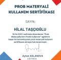 Resmi büyüt: certificate 11