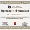 Resmi büyüt: certificate 6