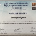 Resmi büyüt: certificate 7