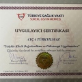 Resmi büyüt: certificate 8