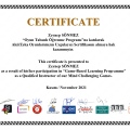 Resmi büyüt: certificate 18