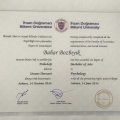 Resmi büyüt: certificate 3