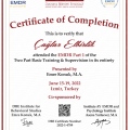 Resmi büyüt: certificate 8