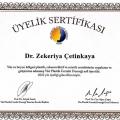 Resmi büyüt: certificate 22