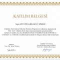 Resmi büyüt: certificate 4