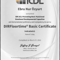 Resmi büyüt: certificate 1