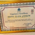 Resmi büyüt: certificate 13