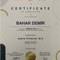 Resmi büyüt: certificate 9