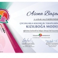Resmi büyüt: certificate 12