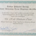 Resmi büyüt: certificate 1