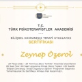 Resmi büyüt: certificate 3