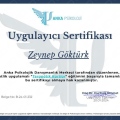 Resmi büyüt: certificate 10
