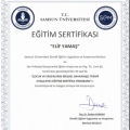 Resmi büyüt: certificate 6