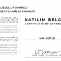 Resmi büyüt: certificate 1