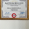 Resmi büyüt: certificate 15