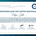 Resmi büyüt: certificate 4