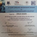 Resmi büyüt: certificate 1