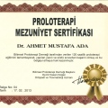 Resmi büyüt: certificate 9