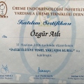 Resmi büyüt: certificate 13