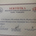 Resmi büyüt: certificate 7