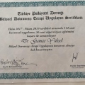 Resmi büyüt: certificate 13