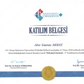 Resmi büyüt: certificate 3