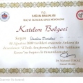 Resmi büyüt: certificate 3