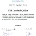 Resmi büyüt: certificate 10