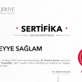 Resmi büyüt: certificate 5