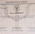 Resmi büyüt: certificate 3
