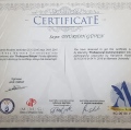 Resmi büyüt: certificate 11