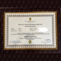 Resmi büyüt: certificate 1