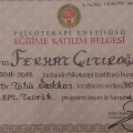 Resmi büyüt: certificate 7