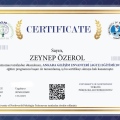 Resmi büyüt: certificate 4