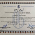 Resmi büyüt: certificate 2