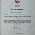 Resmi büyüt: certificate 9