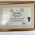 Resmi büyüt: certificate 7