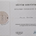 Resmi büyüt: certificate 3