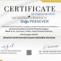Resmi büyüt: certificate 1