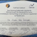 Resmi büyüt: certificate 6