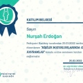 Resmi büyüt: certificate 6