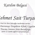 Resmi büyüt: certificate 9