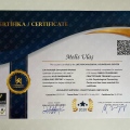 Resmi büyüt: certificate 27