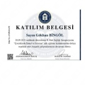Resmi büyüt: certificate 11