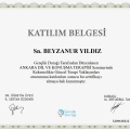 Resmi büyüt: certificate 8