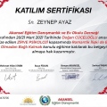 Resmi büyüt: certificate 15